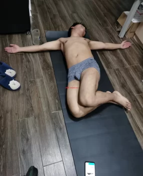 鸭子